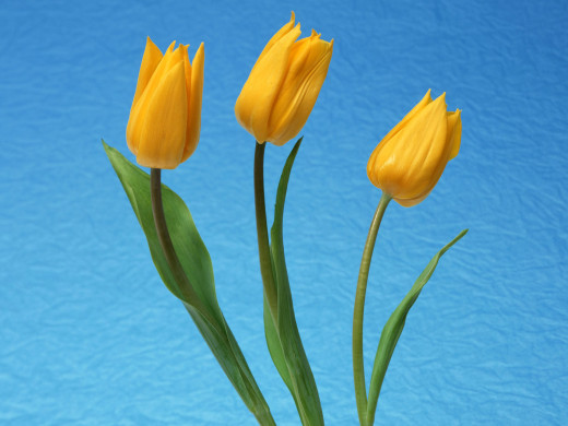 421635 (a): :1600x1200